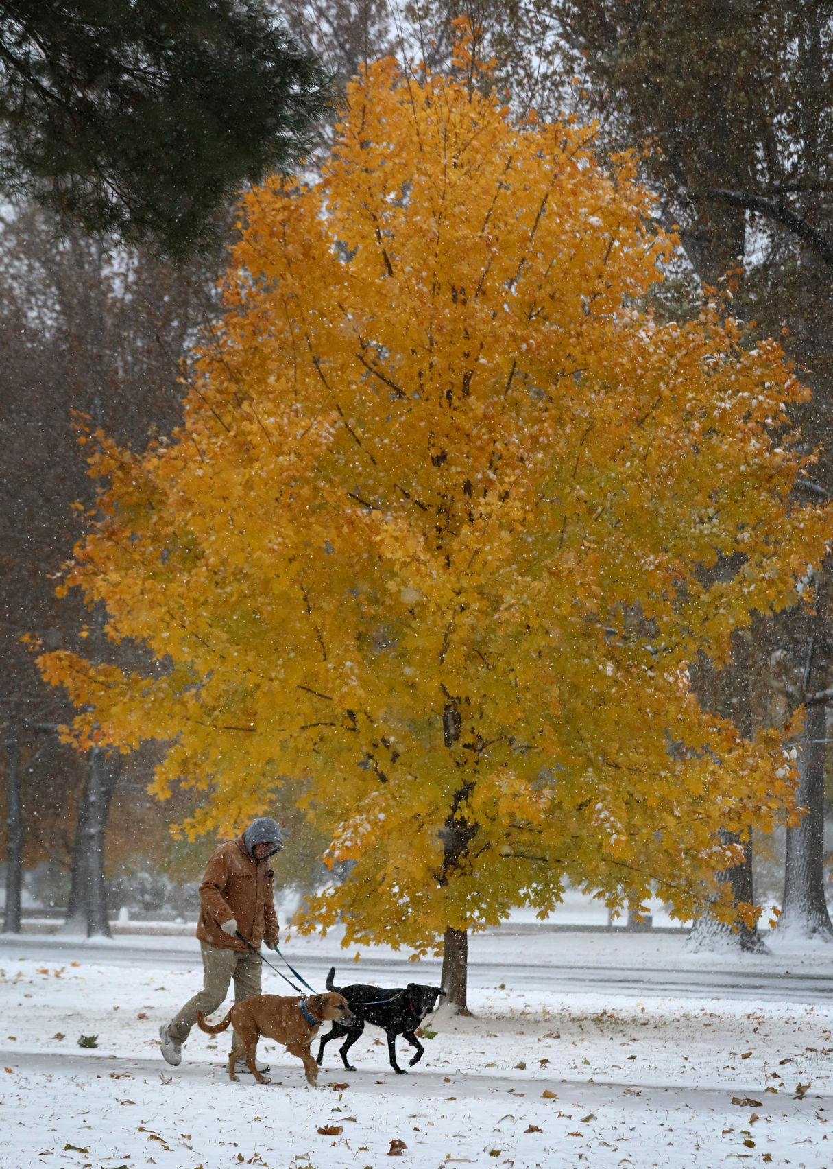 Fall snow of 2019